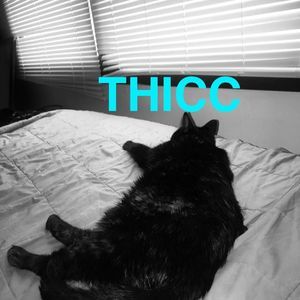 Meet your Posher, Aby